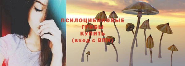 каннабис Баксан